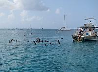 201402Carib 790