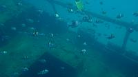 201402CaribK 349