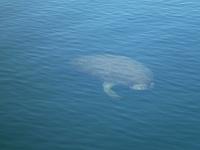 201402CaribK 071
