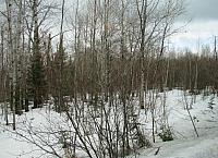 201404 Canada 349