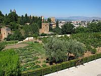 201407 Espana 1240