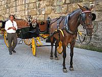 201407 Espana 445