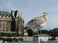 201409 008