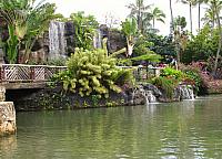 201501 Hawaii 478