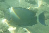 201501 Hawaii 840