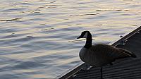 201504 010
