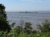 201505AK 1000
