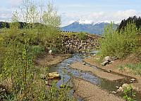201505AK 310