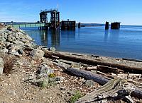 201509OlympicPeninsula 018