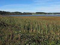 201509OlympicPeninsula 019