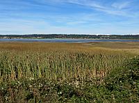 201509OlympicPeninsula 021