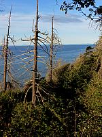 201509OlympicPeninsula 041