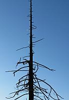201509OlympicPeninsula 044