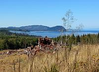 201509OlympicPeninsula 049