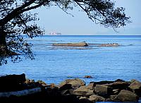 201509OlympicPeninsula 059