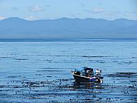 201509OlympicPeninsula 060