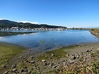 201509OlympicPeninsula 067