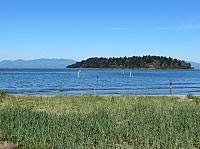 201509OlympicPeninsula 069