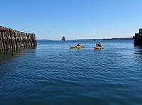 201509OlympicPeninsula 093