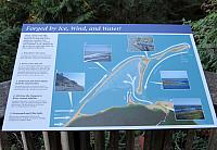 201509OlympicPeninsula 125