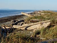201509OlympicPeninsula 143