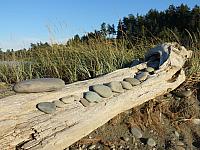 201509OlympicPeninsula 145