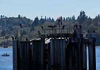 201509OlympicPeninsula 172