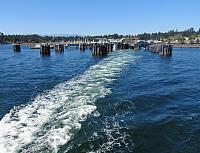 201509OlympicPeninsula 176