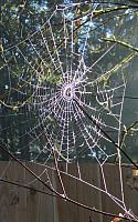 2015Thanksgiving 094