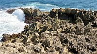 IMG 4078
