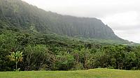 IMG 4139