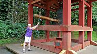 IMG 4149