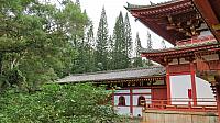 IMG 4159