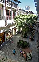 IMG 4208