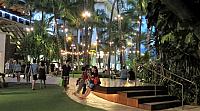 IMG 4231