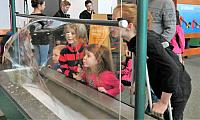 IMG 4347 (2)