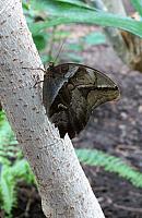IMG 4381 (2)