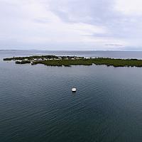 IMG 4929