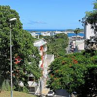 IMG 4869