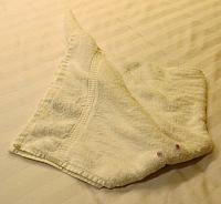 IMG 4899