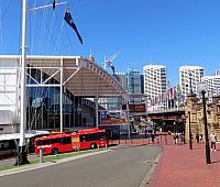 IMG 4447