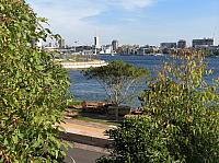 IMG 4499