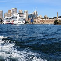 IMG 4547