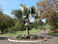 IMG 4569