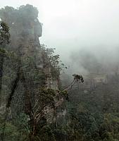 IMG 4626