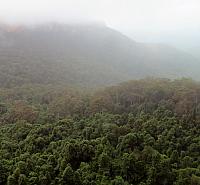 IMG 4628