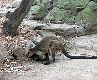 IMG 4744