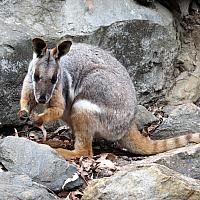 IMG 4749