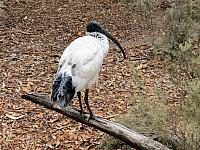 IMG 4753