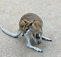 IMG 4757
